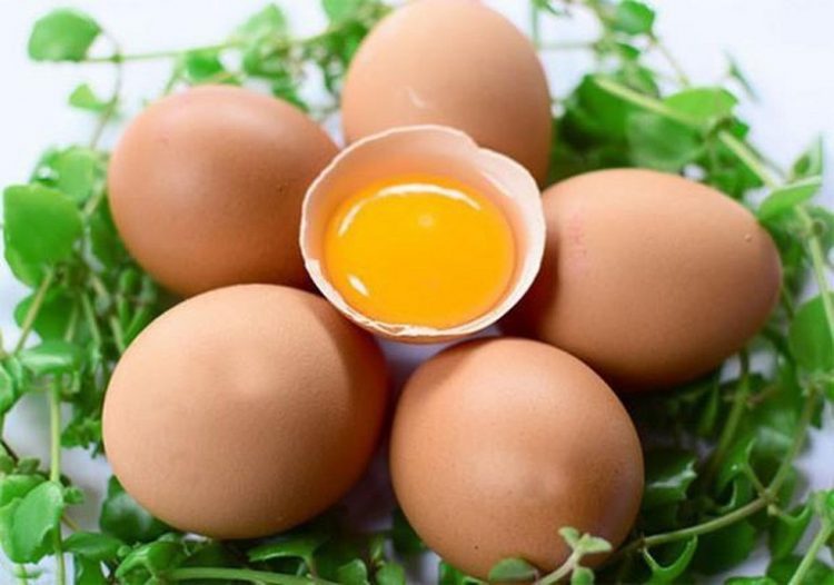 Trứng có nhiều dưỡng chất giúp tăng chiều cao